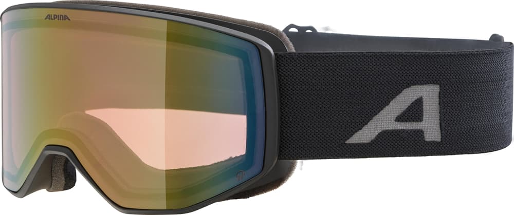 ALPINA Venet Q Skibrille Schwarz, Herren, Größe: ONE SIZE