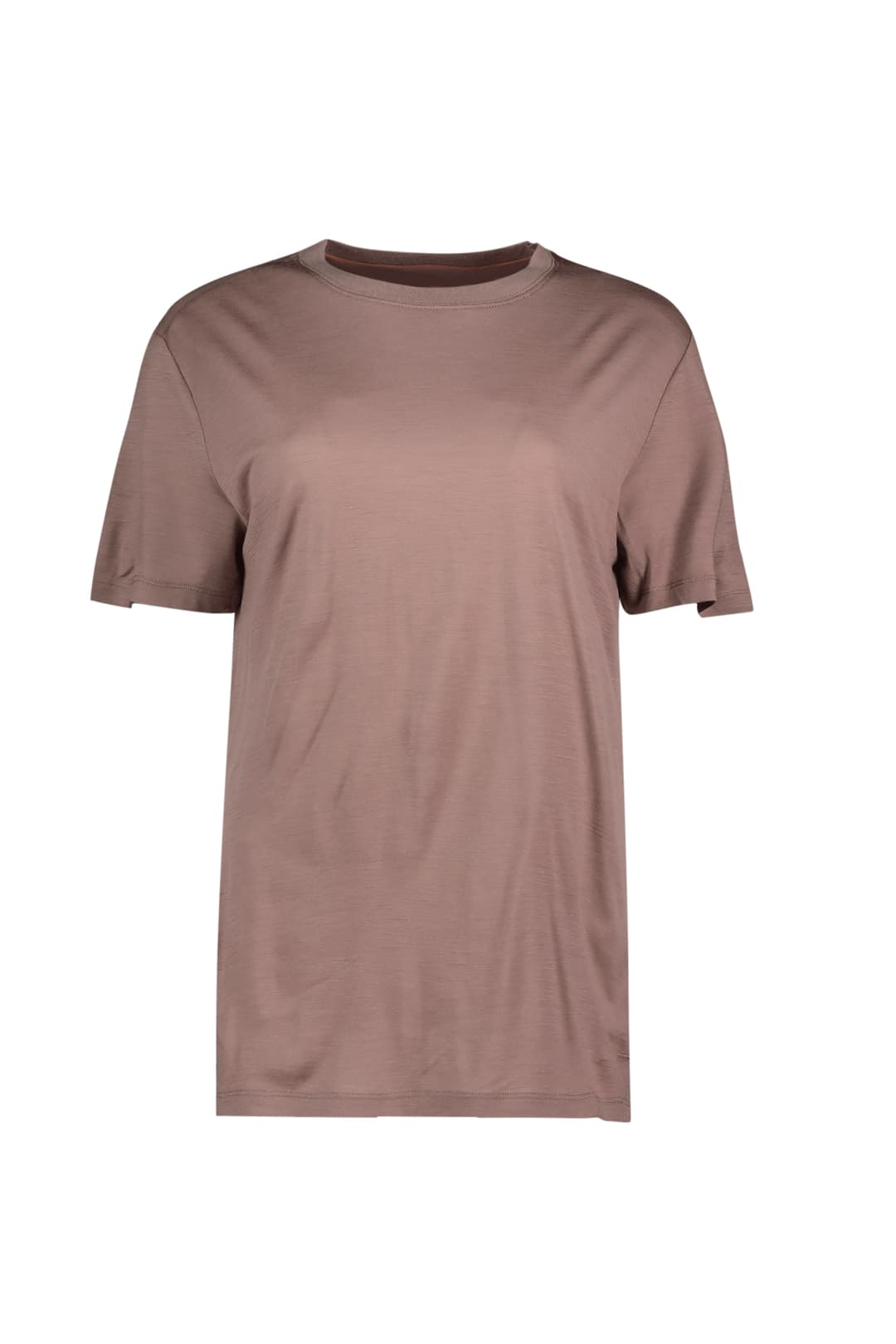 icebreaker Merino 150 Tech Lite III Relaxed Damen T-Shirt Braun, Damen, Größe: XL