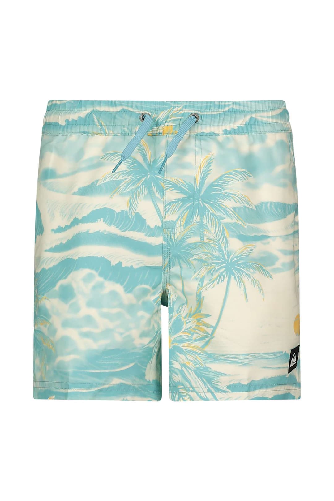 Quiksilver Everyday Printed Volley 14" Jungen Badeshort Blau, , Größe: 128