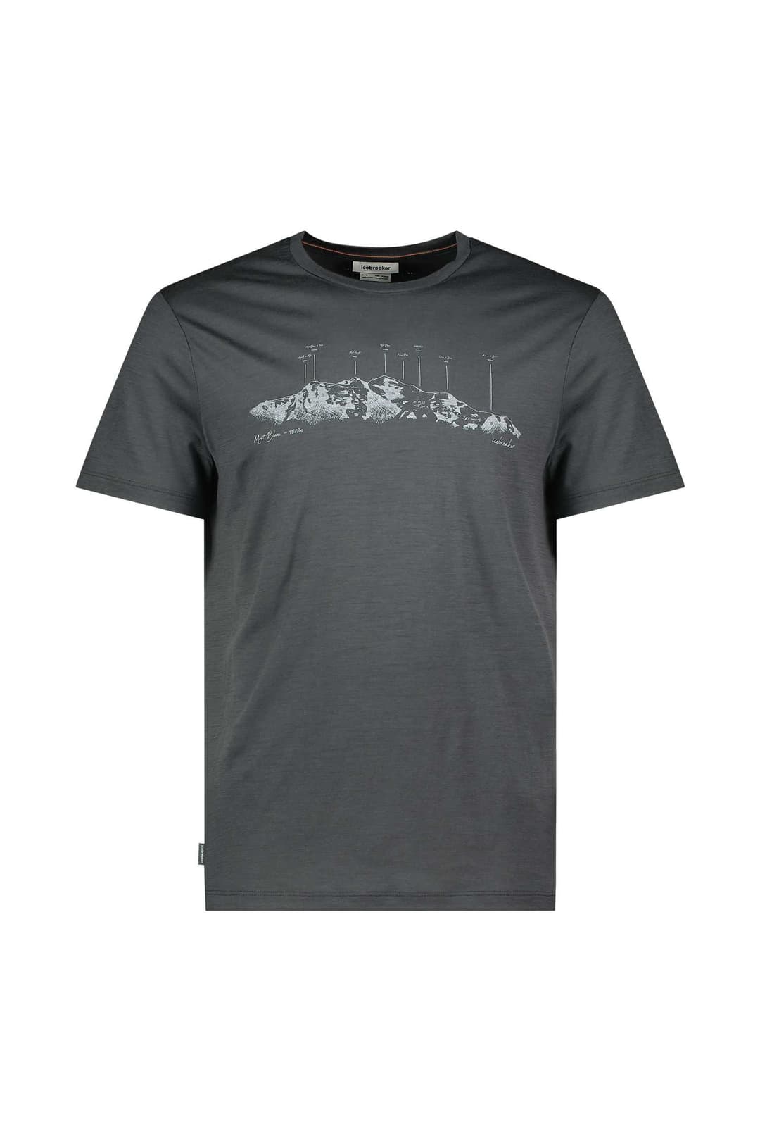 icebreaker Merino 150 Tech Lite The Peaks Herren T-Shirt Grau, Herren, Größe: L