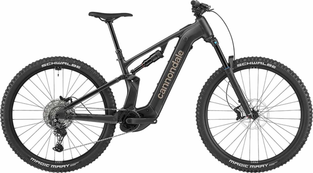 Cannondale Moterra 4 Plus 29 E-Mountainbike Grau, Herren, Größe: L