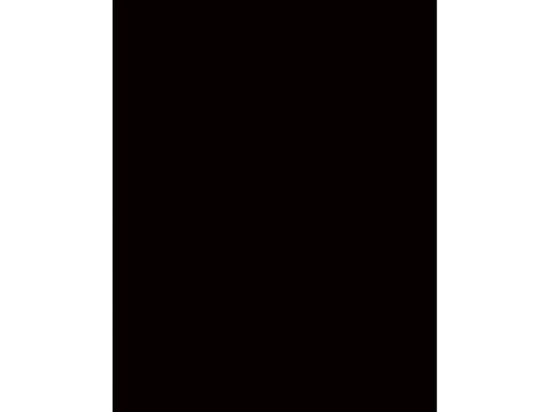 Schrankkorpus EVOLUTION schwarz 56.5x100x215cm