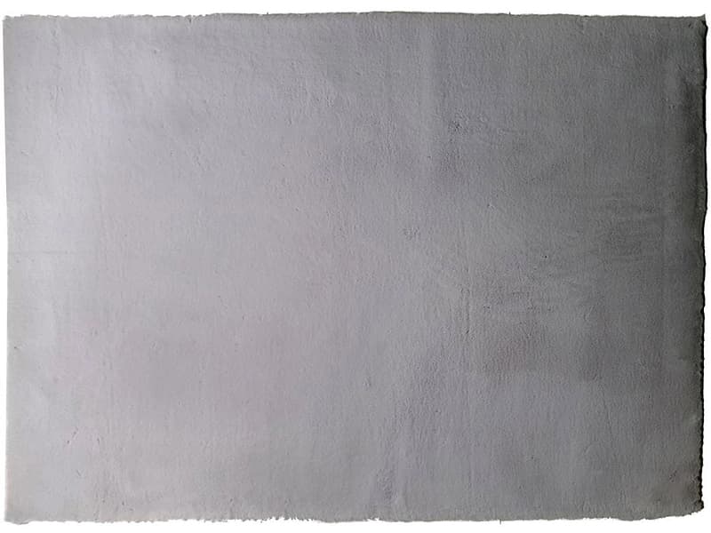 Teppich EXTRA 200x300cm