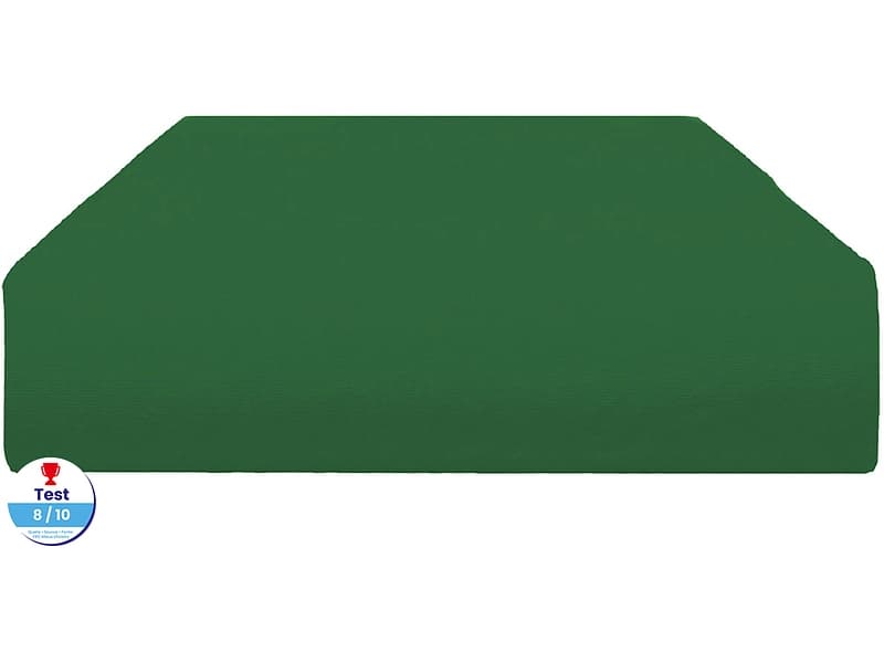 Fixleintuch DH JERSEY PEIGNE 120x200cm grün