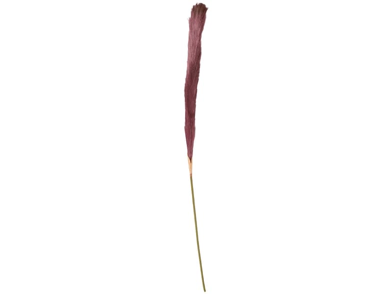 Pampas LIANA Violett