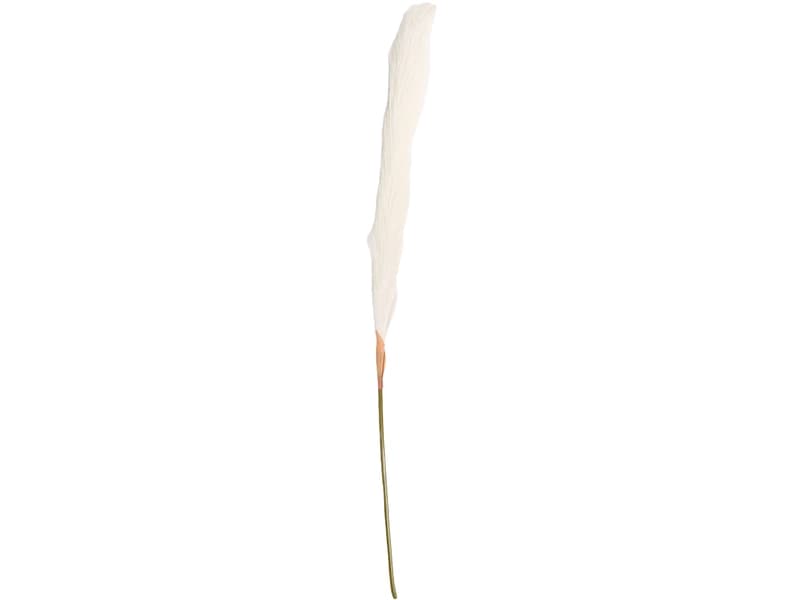 Pampas LIANA Beige