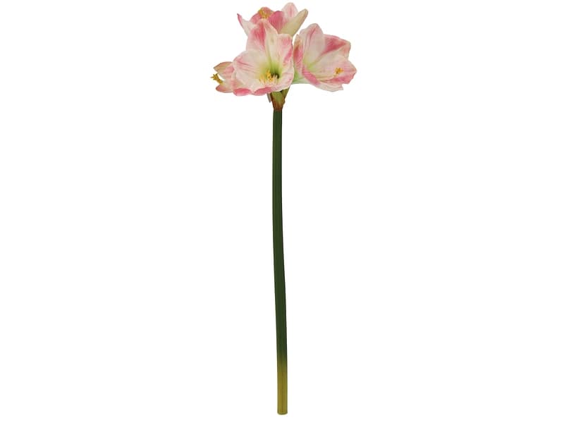 Kunstblume RASHA