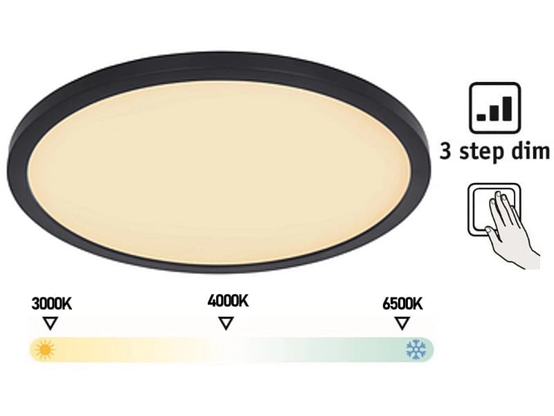 Deckenlampe LED SAPANA variable Intensität 29.4cm 18W schwarz