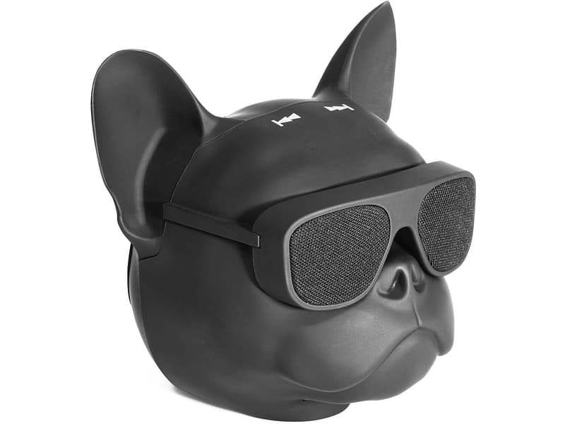 IBIZA SOUND Lautsprecher DOG-SOUND bluetooth