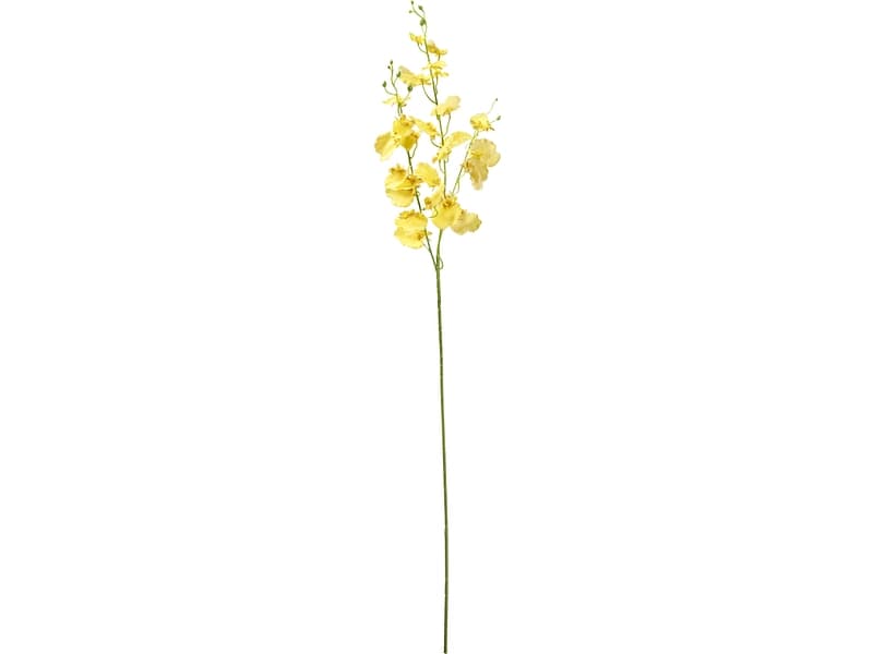 Kunstblume LÉONA
