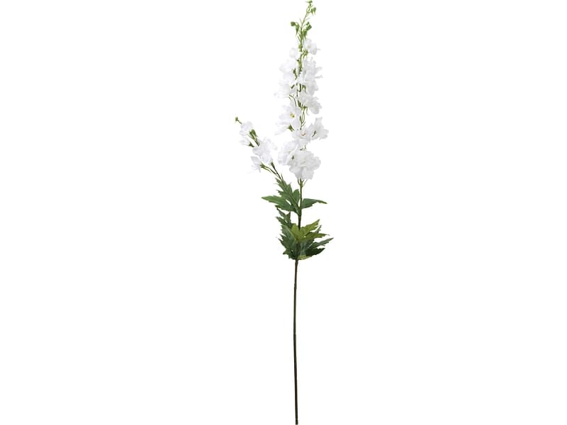 Kunstblume IDRIS