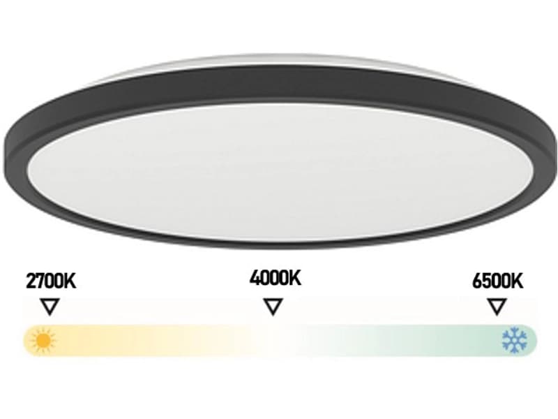 Deckenlampe LED ROVITO Ø30cm 13.9W schwarz