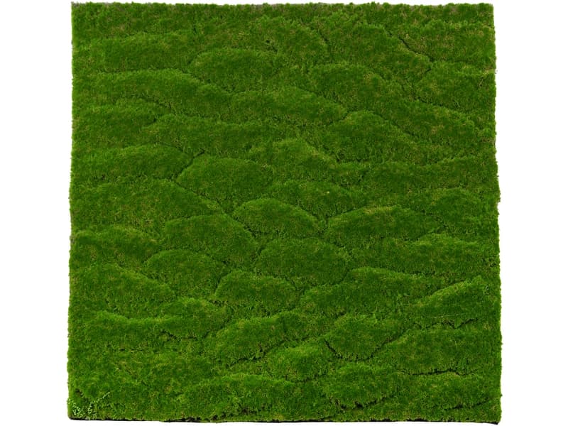 Stabilisiertes Pflanzen Gemälde MOSS 1 Stück polyester grün 60x1x60cm