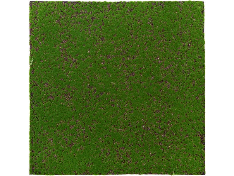 Stabilisiertes Pflanzen Gemälde MOSS 1 Stück polyester grün 60x1x60cm