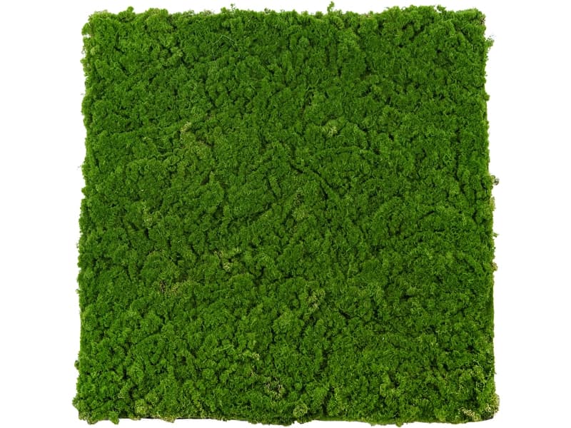 Stabilisiertes Pflanzen Gemälde MOSS 1 Stück polyester grün 60x1x60cm