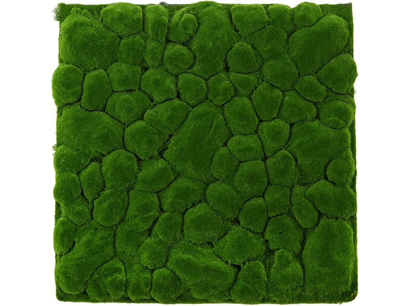 Stabilisiertes Pflanzen Gemälde MOSS 1 Stück polyester grün 60x1x60cm