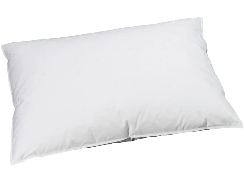 BILLERBECK EDITIONNaturkissen REVE DOWN BASIC 50x70cm