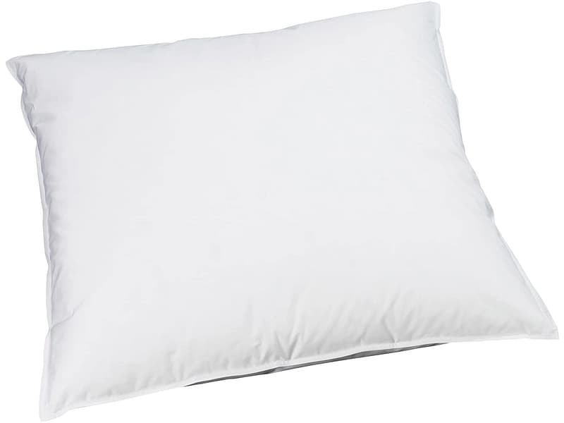 BILLERBECK EDITIONNaturkissen REVE DOWN BASIC 65x65cm