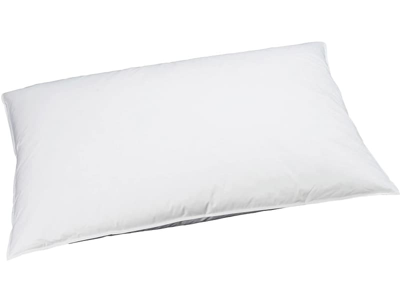 BILLERBECK EDITIONNaturkissen REVE DOWN BASIC 65x100cm