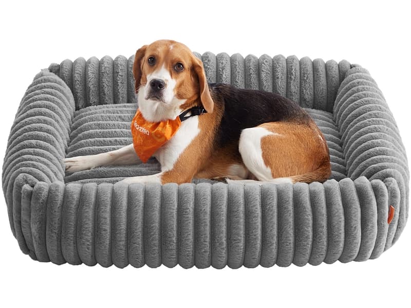 Hundebett FEANDREA Schaum grau