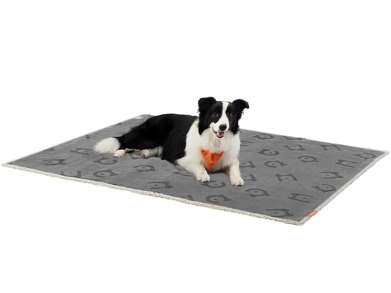 Hundedecke FEANDREA Stoff grau