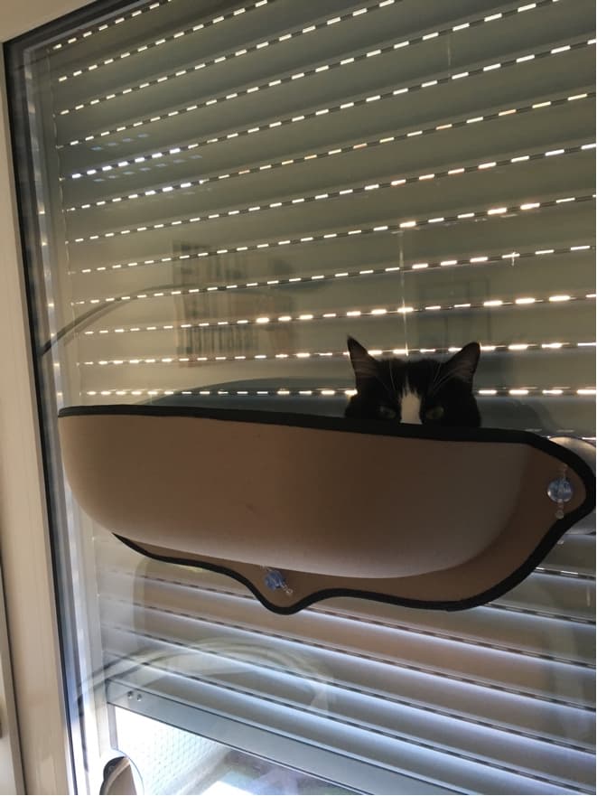 Katzenmatte Hängematte Katzen Relaxe für Fenster extra Stabil XXL